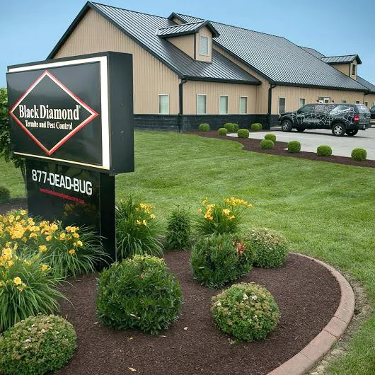 Black Diamond Pest Control Picture 5