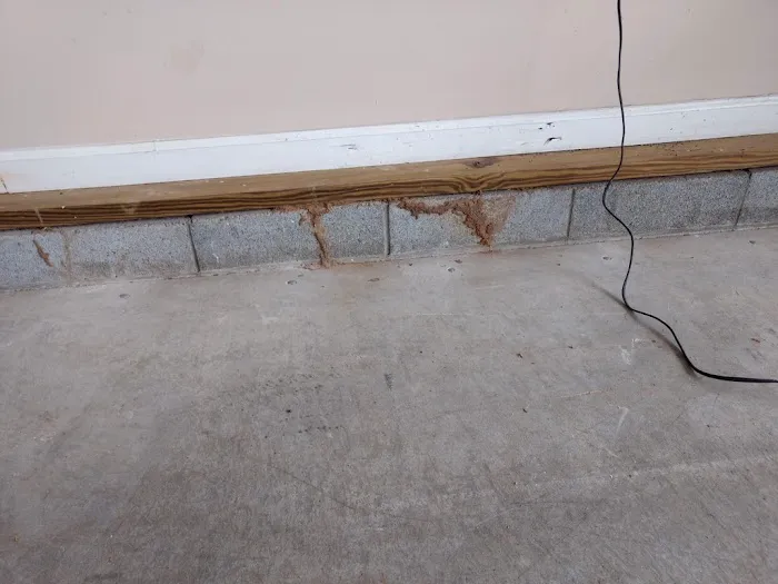 Black Diamond Pest Control Picture 2