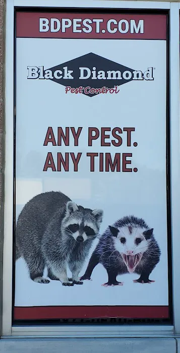 Black Diamond Pest Control Picture 10
