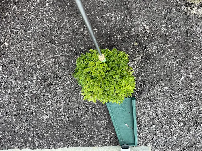 Aptive Pest Control Picture 10