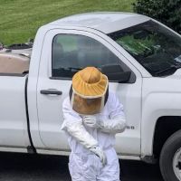 Indy Bed Bug & Pest ico
