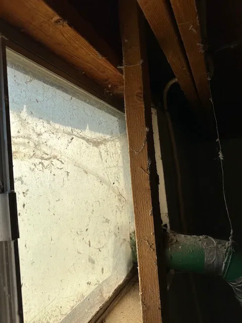 Semper 0311 Pest Control Picture 10