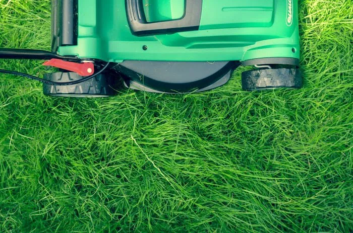 Lawn Plus Pest Control Services Picture 5