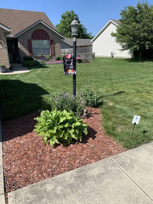 Lawn Plus Pest Control Services Picture 9
