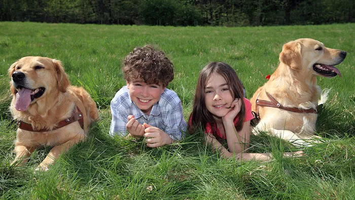 Lawn Plus Pest Control Services Picture 2