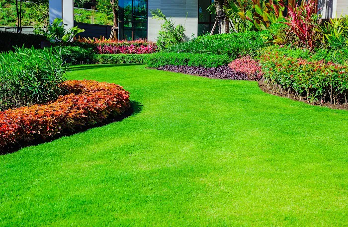 Lawn Plus Pest Control Services Picture 8