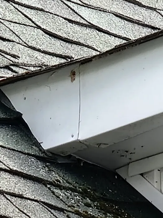 Bright Star Pest Control Picture 1