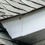Bright Star Pest Control