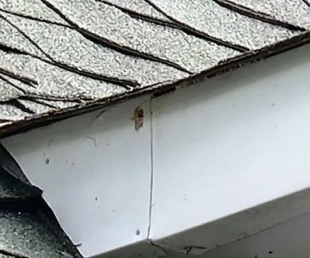 Bright Star Pest Control