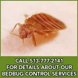 National Termite & Pest Control Picture 4