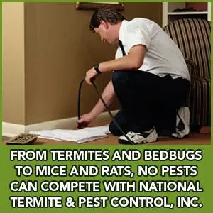 National Termite & Pest Control Picture 3