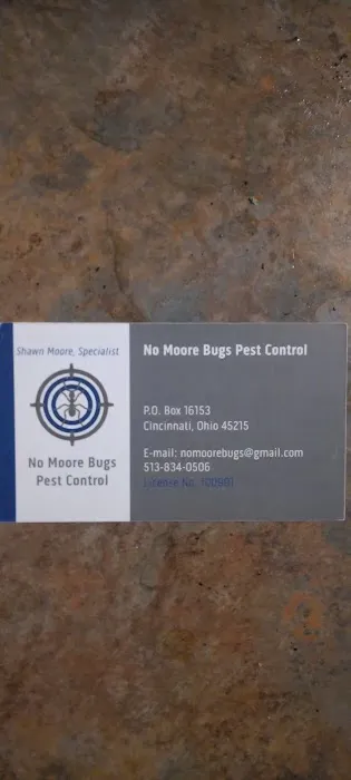 No Moore Bugs Picture 6