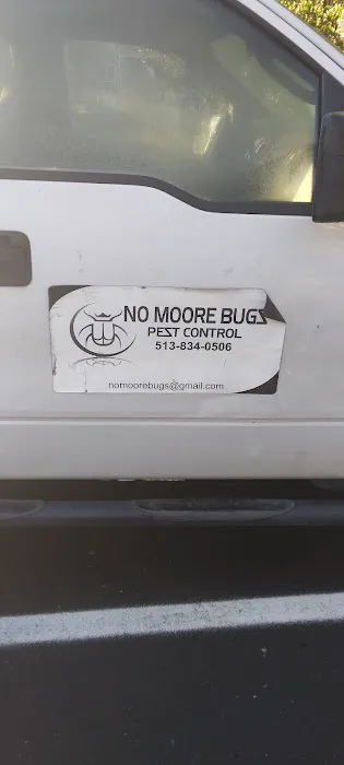 No Moore Bugs Picture 3