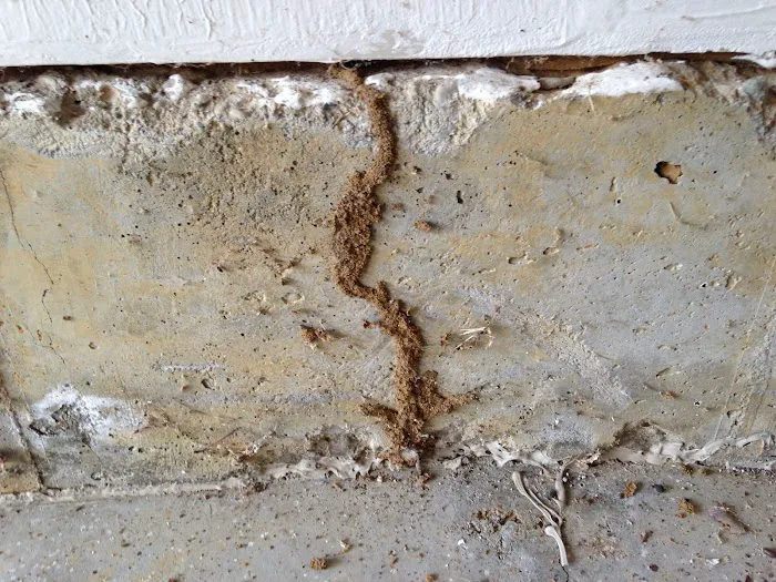 Bug-A-Pest Termite & Pest Control Picture 6