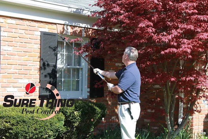 Sure Thing Pest Control Picture 2