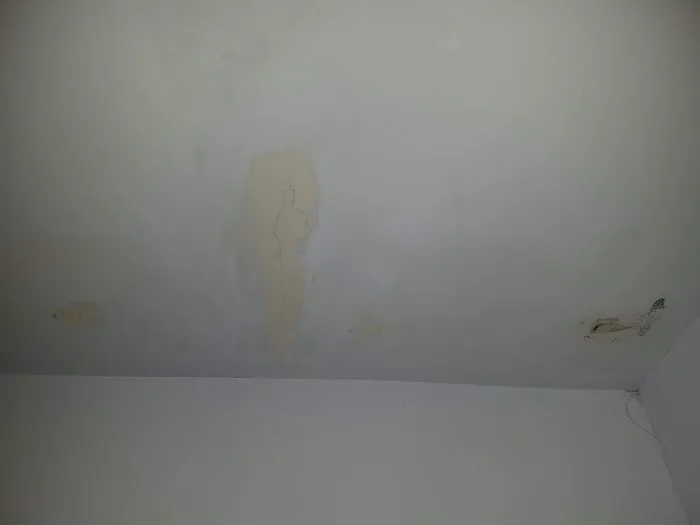 Sure Thing Pest Control Picture 9