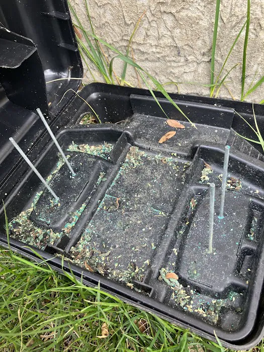 Greenix Pest Control Picture 10