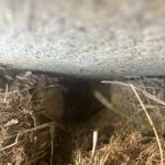 Greenix Pest Control