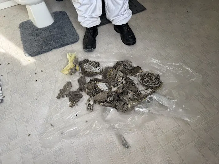 Greenix Pest Control Picture 3