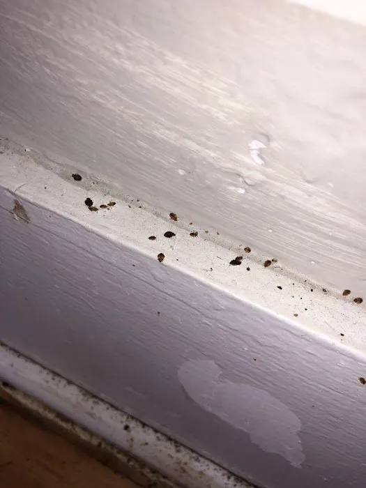 Ace Pest Control Inc. Picture 1