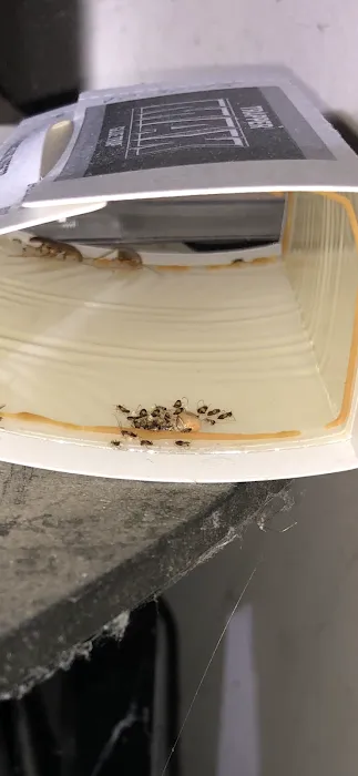 Ace Pest Control Inc. Picture 8