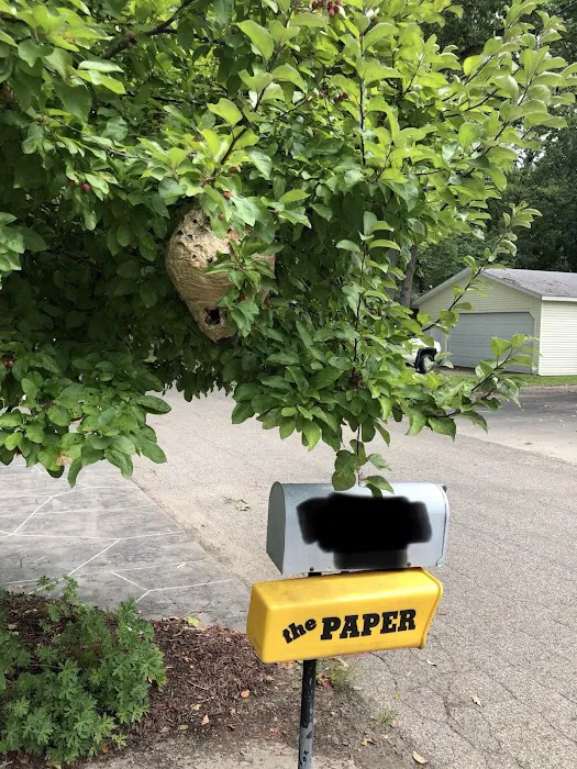 Ace Pest Control Inc. Picture 5