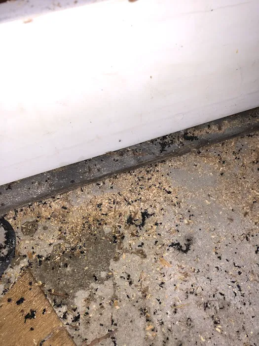 Ace Pest Control Inc. Picture 7