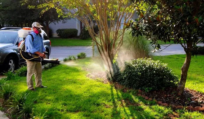 Coldwater mosquito and pest control Picture 1