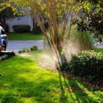 Coldwater mosquito and pest control