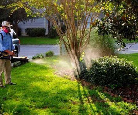 Coldwater mosquito and pest control
