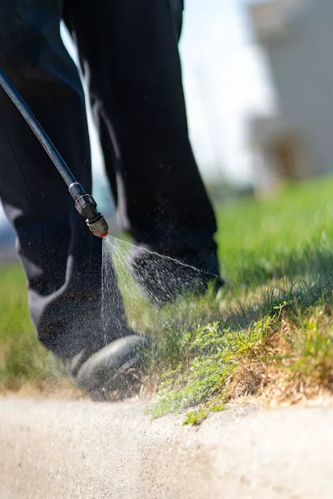 All Green Lawn Care Picture 3