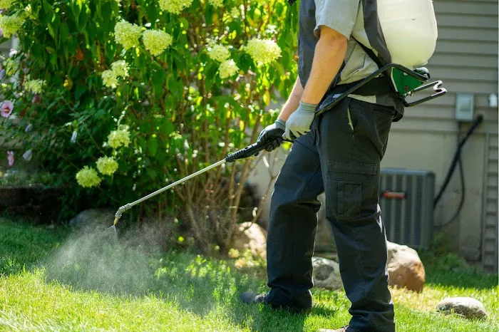 All Green Lawn Care Picture 1