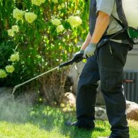 All Green Lawn Care ico