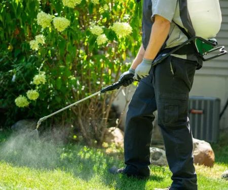 All Green Lawn Care