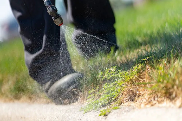 All Green Lawn Care Picture 7