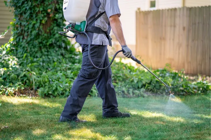 All Green Lawn Care Picture 9