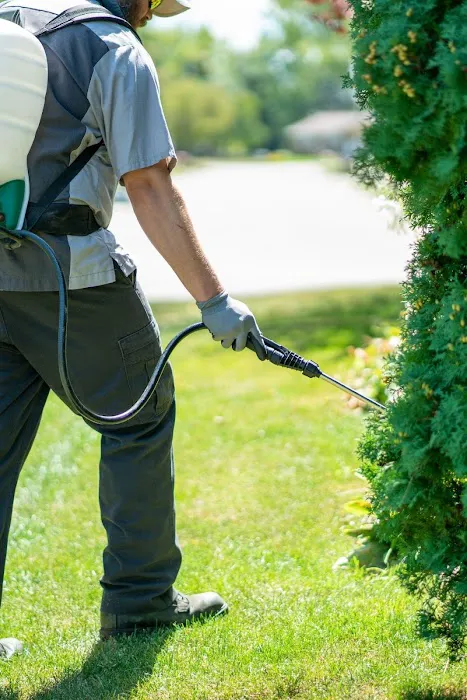 All Green Lawn Care Picture 10