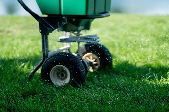All Green Lawn Care Picture 4