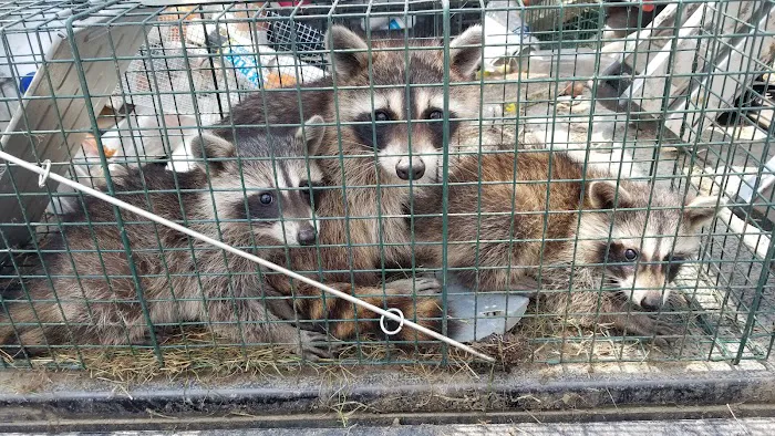 The Wildlife Professionals of Wheeling Picture 8