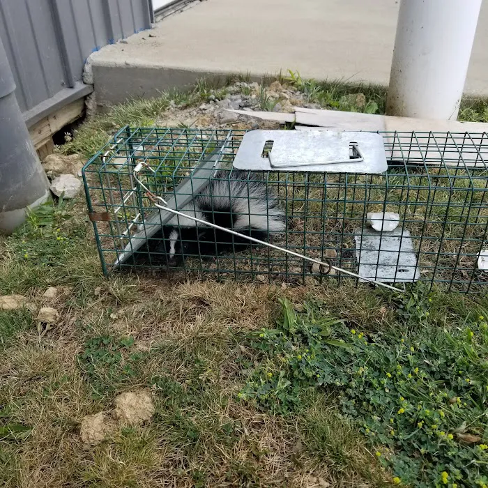 The Wildlife Professionals of Wheeling Picture 3