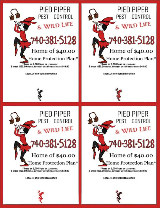 Pied Piper Pest Control Picture 1