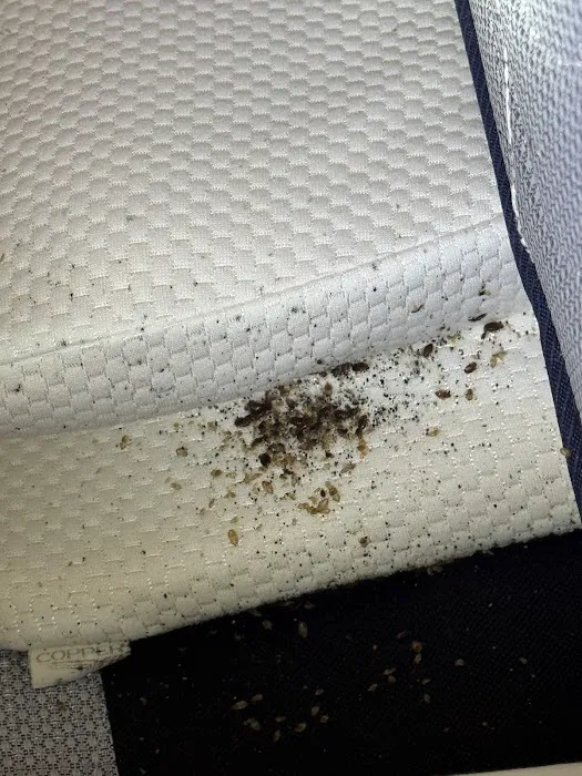 JC Pest Control Co Picture 10