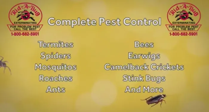 Rid-A-Bug Pest Control Picture 2