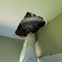 Neighborly Pest Control ico