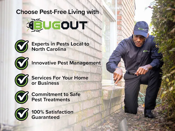 Bug Out Picture 3