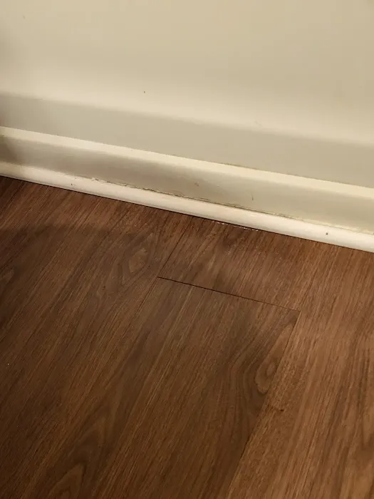 Gregory Pest Solutions Picture 7