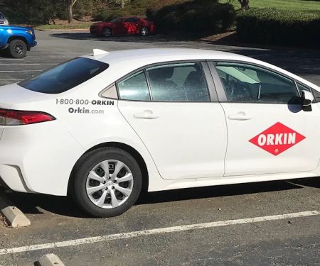 Orkin