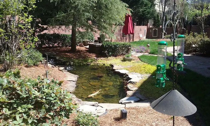 Mosquito Free Solutions Picture 6