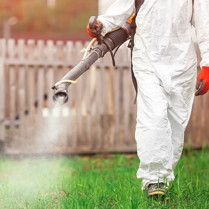 Mosquito Free Solutions Picture 3