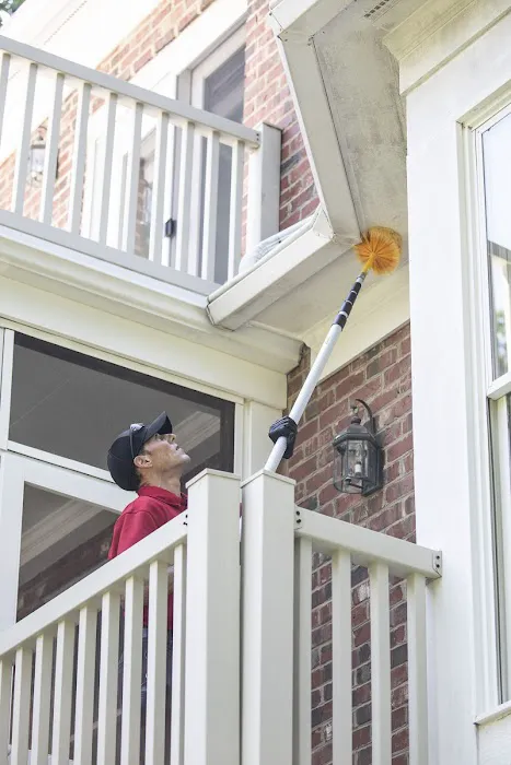 Go-Forth Pest Control Picture 2